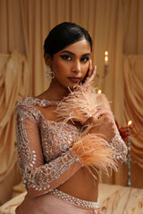 Clara Drape Saree