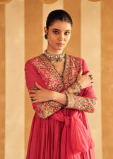 Aalam Anarkali set
