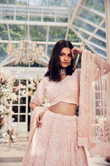 Pink organza  heavily embellished lehenga