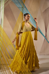 Aina anarkali set