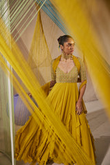 Aina anarkali set