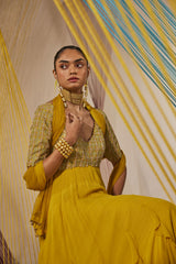 Aina anarkali set