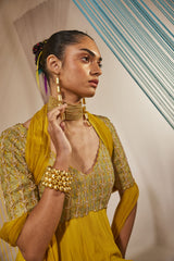Aina anarkali set